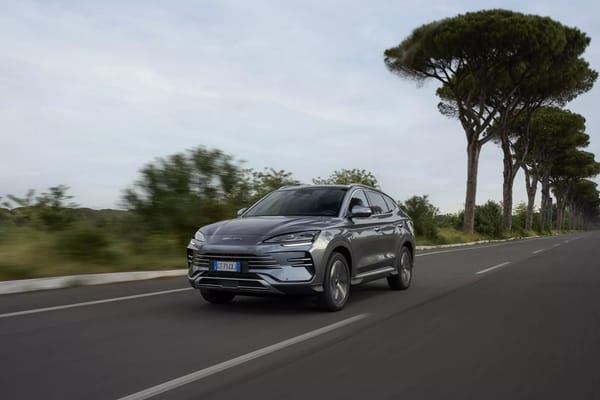 Grauer BYD Seal U DM-i fährt auf einer von Pinien gesäumten Landstraße